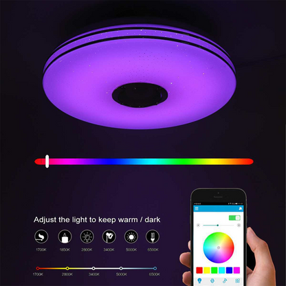 Intelligente LED-Musik-Deckenleuchte mit Bluetooth-Lautsprecher